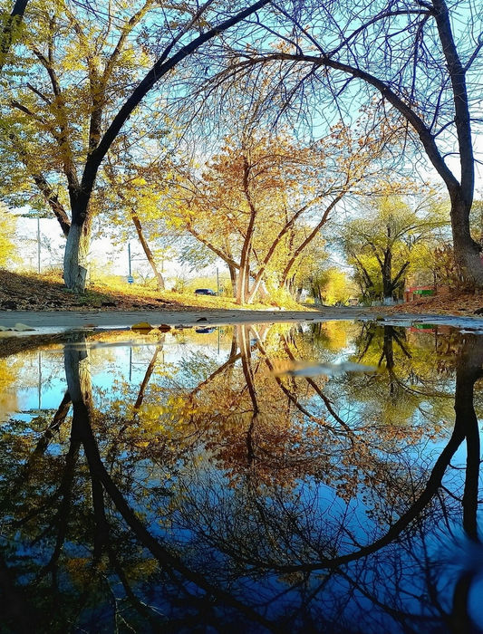 Landscapes