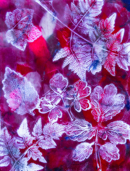 Photograph by Yulia Kapustynska, 18 of 20