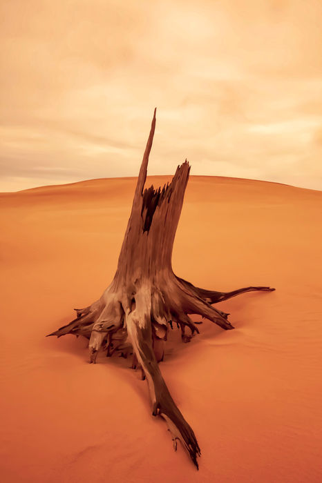 Environmental Challenges & Paradises
