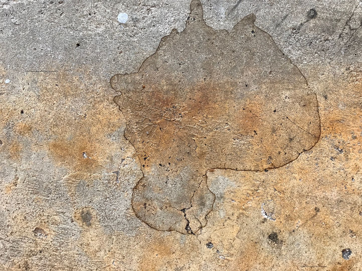 Skull of An Alien

The artist photographs patterns of art that he finds in leaks, smudges, spills, and splatter on walking surfaces. He calls his collection "Art That People Step On " because many people step on these patterns of art as they walk.
So.e of these patterns are also formed by erosion and even bird droppings.