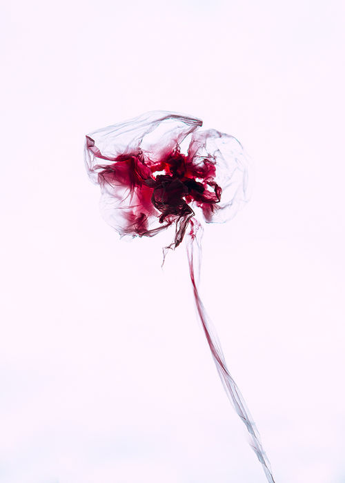 Photograph by Yulia Kapustynska, 6 of 20