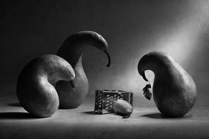 Photograph by Victoria Glinka, 4 of 21