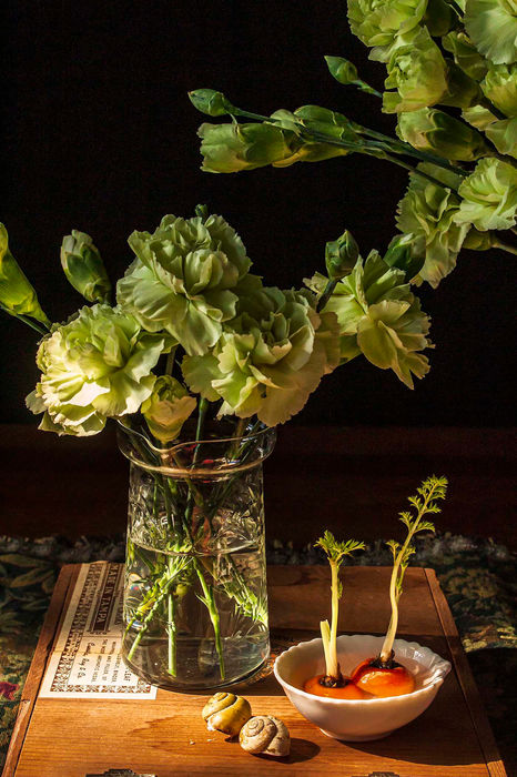 Photograph by Andrea Zinn, 3 of 6