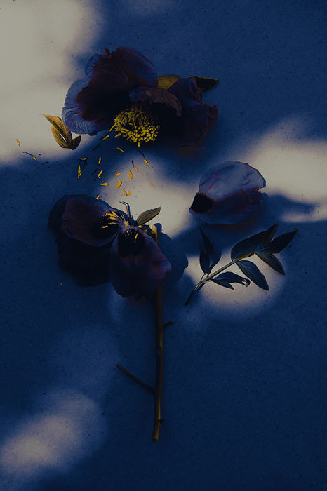 Photograph by Yulia Kapustynska, 17 of 20