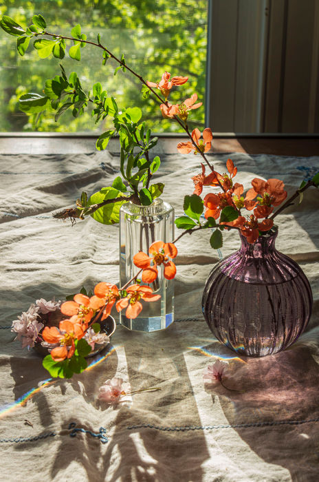 Photograph by Andrea Zinn, 6 of 6