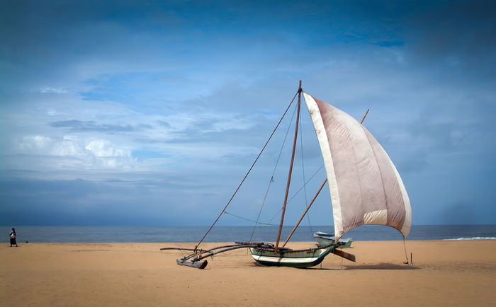 Environmental Challenges & Paradises