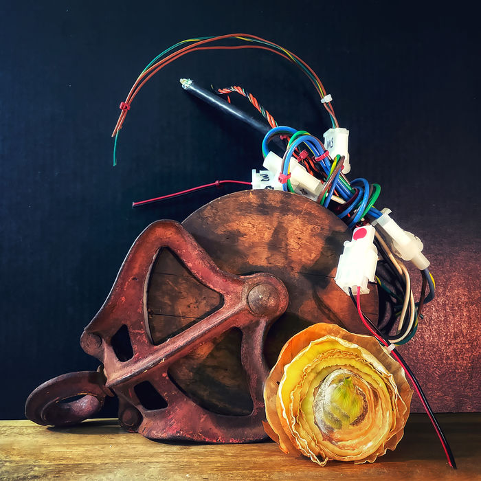 The Beauty of Still Life