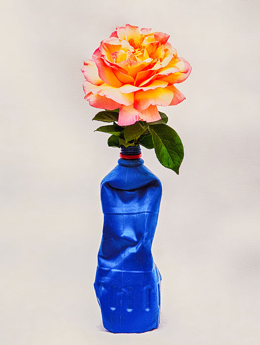 Photograph by Yulia Kapustynska, 16 of 20