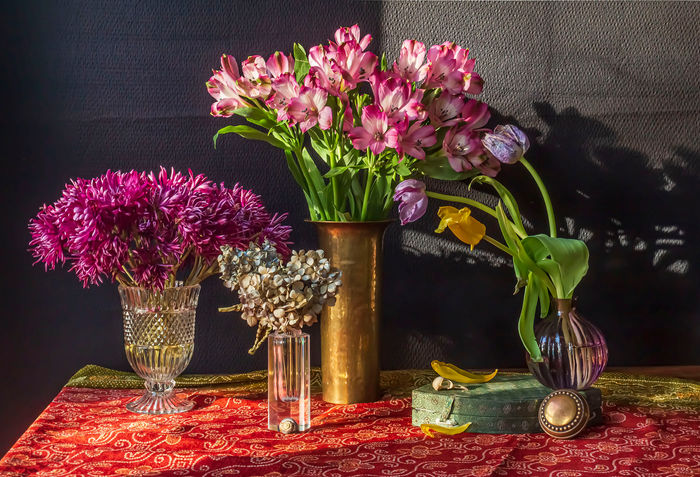 Photograph by Andrea Zinn, 4 of 6