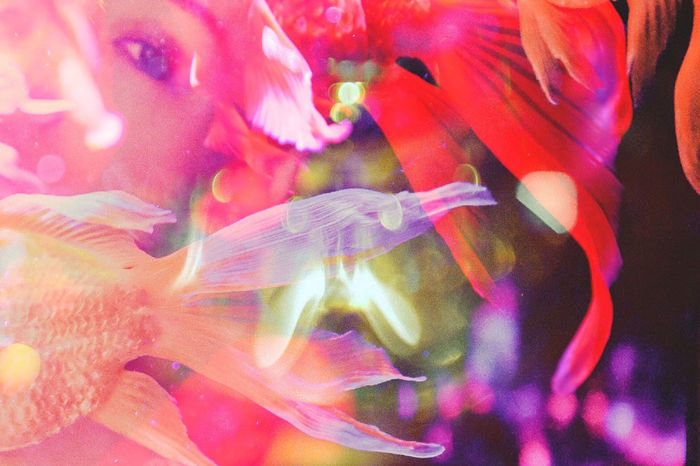 Photograph by Atsumi Takemoto, 7 of 20
