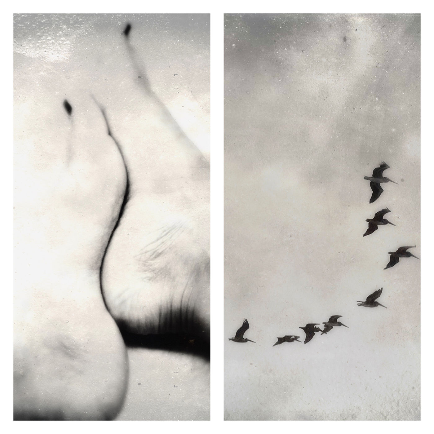 Senseless Diptychs 7 by Ileana Montano