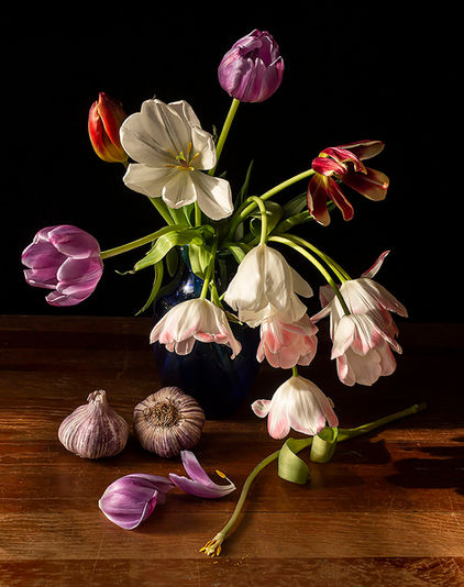 Brooklyn, NY
Chiaroscuro Tulips
I’m a Brooklyn-based photographer working from a home studio. In March of 2020, as New York City went into lockdown, like many others I became an “artist-in-residence” in my own home. A large drafting table next to a window in an upstairs room became the center of my photography as I began to work on a new series of still life photographs. My initial influence was the 17th century Dutch still life paintings. I was drawn to the quality of the light, which led to my decision to only shoot in natural light. I was also intrigued by the contrast between the beauty and lushness of the subjects with the underlying hints that what is pictured is just a fleeting moment in time. The still life project is a meditation on the nature of cycles. The daily and seasonal cycle of the sun and the seasonal changes in the light as the trees in front of my windows bud and leaf and change color have become an integral part of each set of photographs.