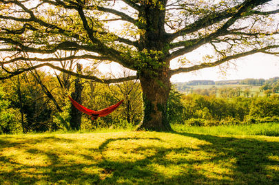 Charlie Frances-Besson