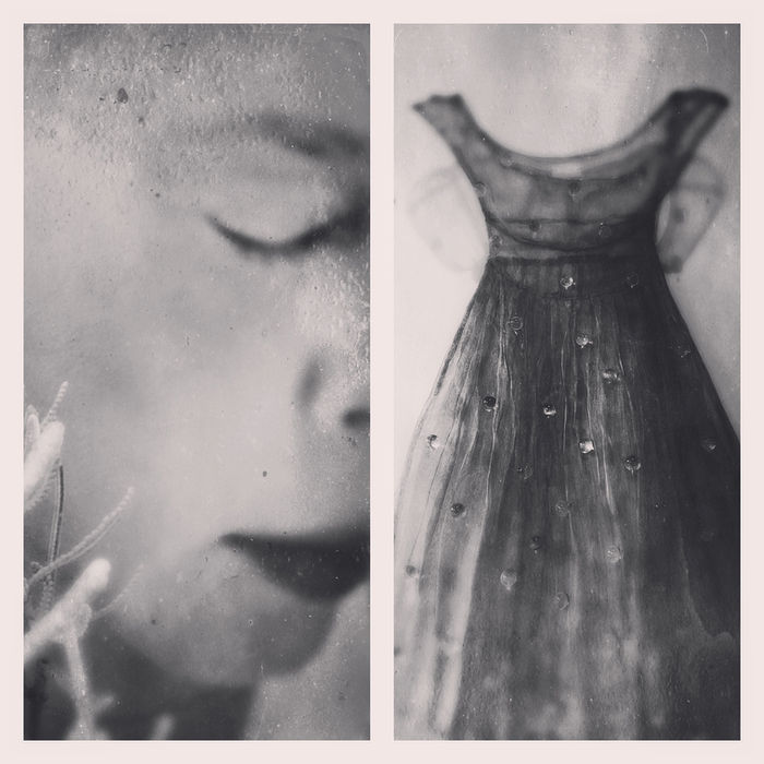 Photograph by Ileana Montano, 1 of 15