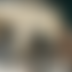 Structure That Serves: Introducing The STEADY Framework™