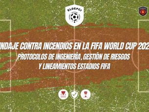 FIFA Seguridad