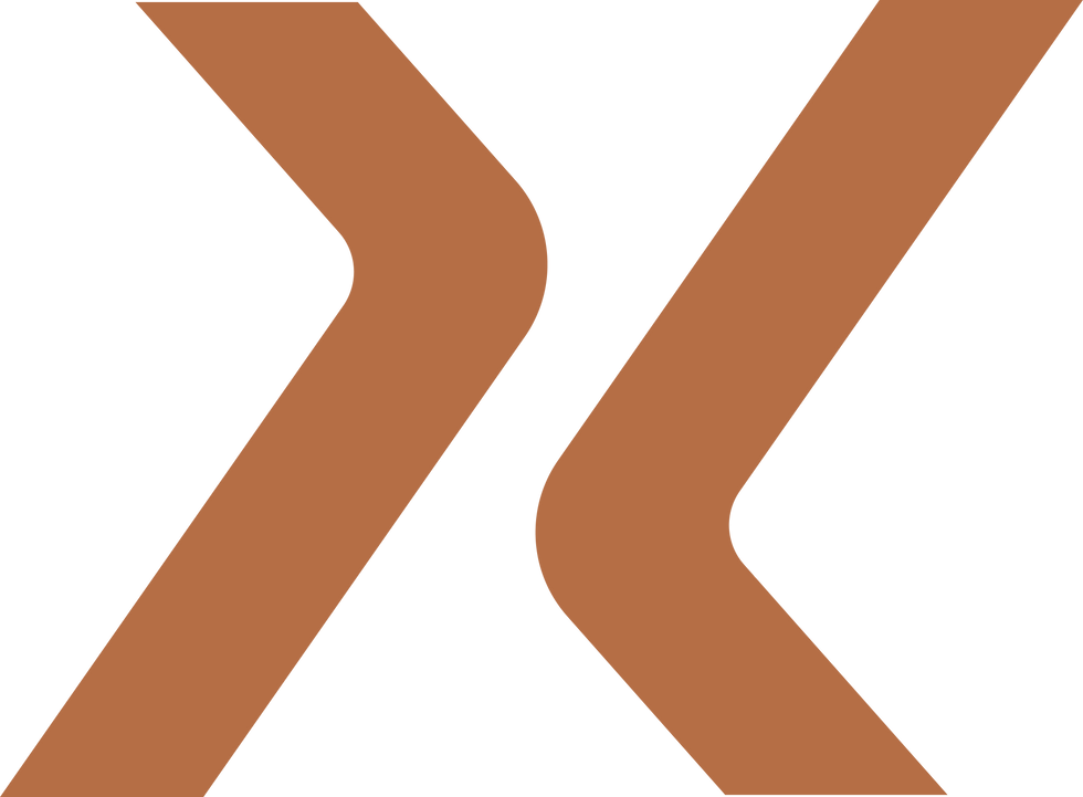 Isotipo_ axonika_cobre.png