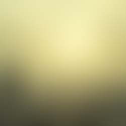 The Weight Between Vision and Validation