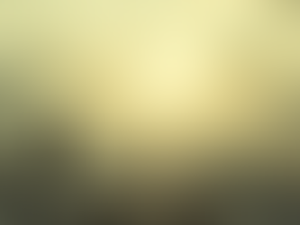 The Weight Between Vision and Validation