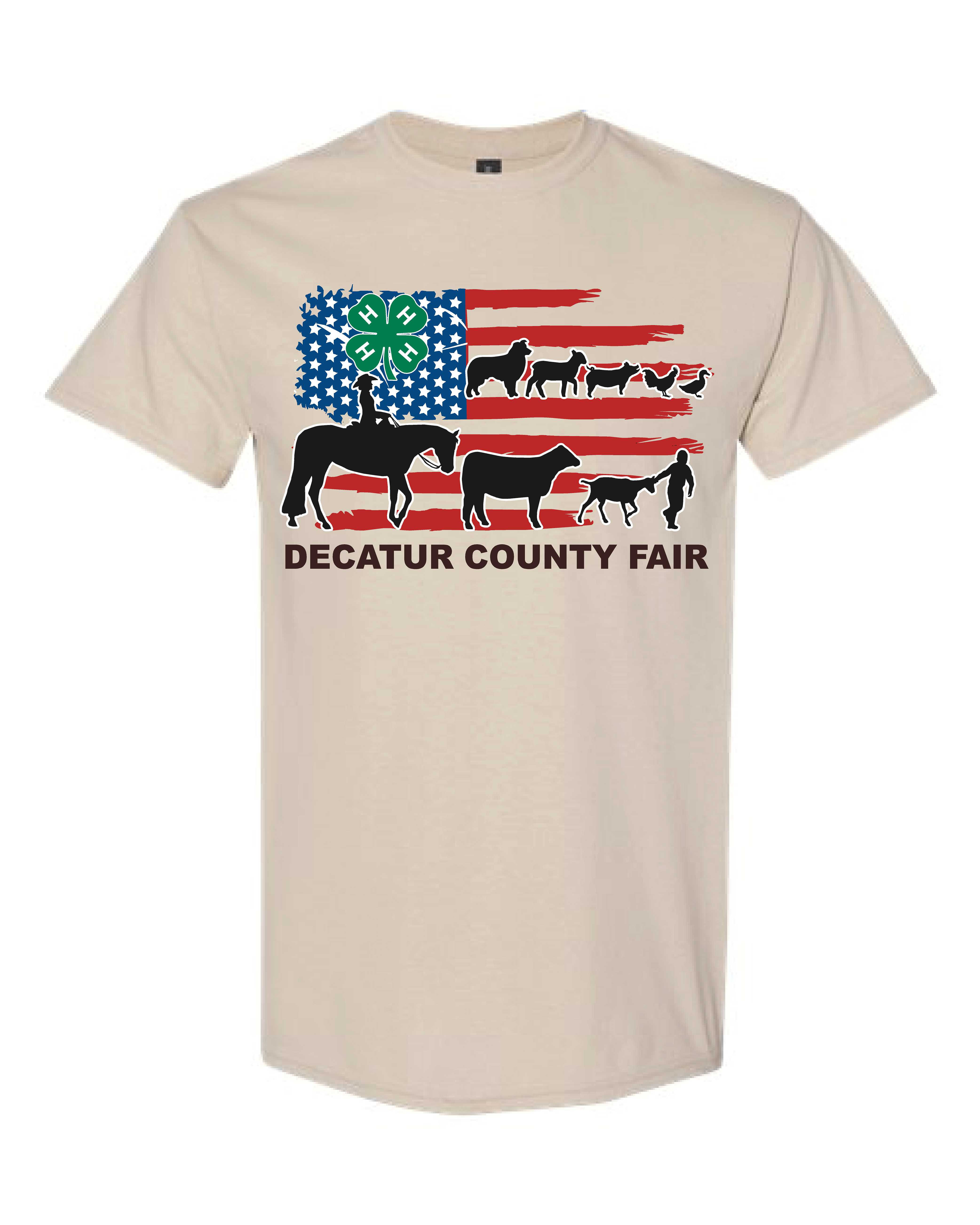 DCFB 4H Flag