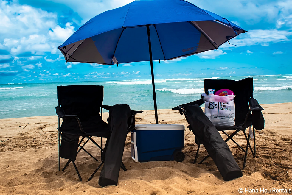 WAIKIKI PACKAGE Hanahou