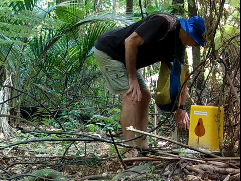 Help Protect Waitekohekohe Reserve – Volunteers Needed!