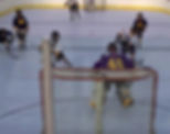 synthetic_ice_for_appleton_newfoundland.jpg