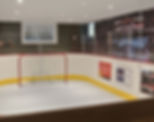 synthetic_ice_for_cheo_foundation_dream_home.jpg