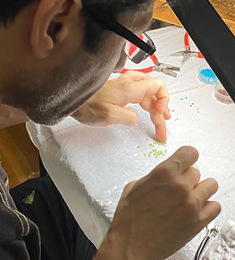 Copy of IMG_6314 (1).jpg