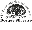 logo BS.png