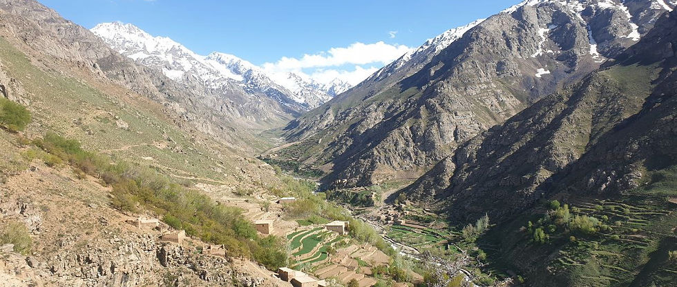 Partners page banner (1).jpeg