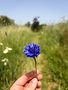 IMG_6844.jpeg