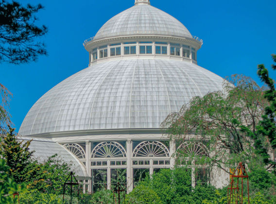 New York Botanical Garden
