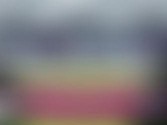 אטרקציות לחובבי כדורגל בלונדון