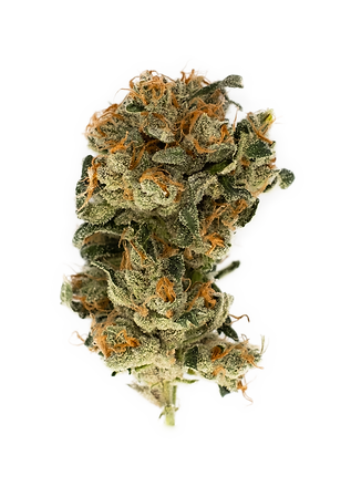 Sour Diesel bud