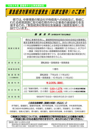 緊急経済対策特別支援資金（協調支援枠）の創設について