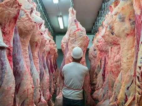 Tres que no fallan en exportaciones (ventas de carne bovina, soja y celulosa pusieron a julio 7% arriba que 2024)