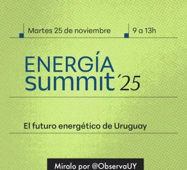 Cómo se prepara Uruguay para la nueva frontera energética: los desafíos de un país que lidera la transición verde