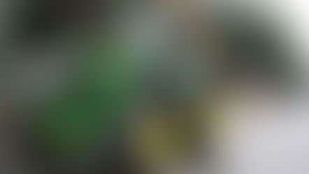 El Parlamento Europeo aprueba la protección de productos agrícolas europeos en el acuerdo con Mercosur