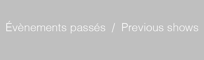 BandeAccueilPrevious+.png
