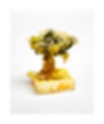 Experiment with Model Tree