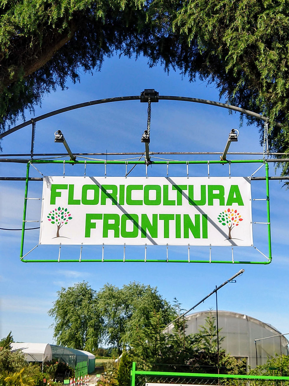 Floricoltura Frontini Massimiliano - Autunno 03