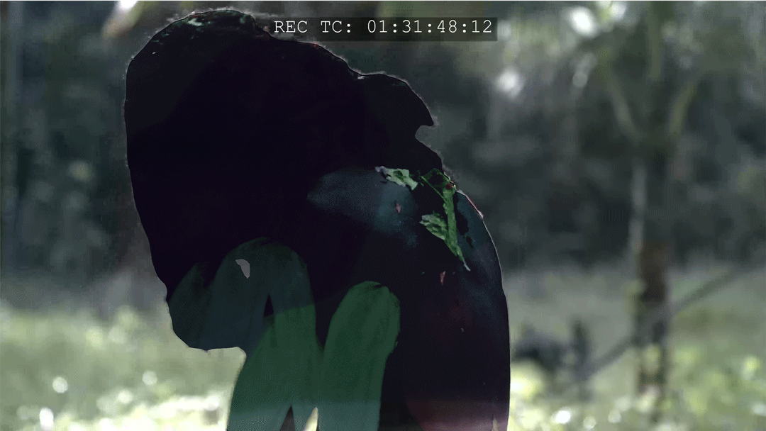 animated anonymisation