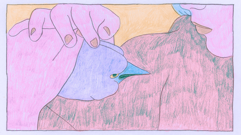 hand drawn animation of a girl petting a crow