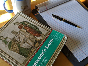 00100lrPORTRAIT_00100_BURST2020072009245