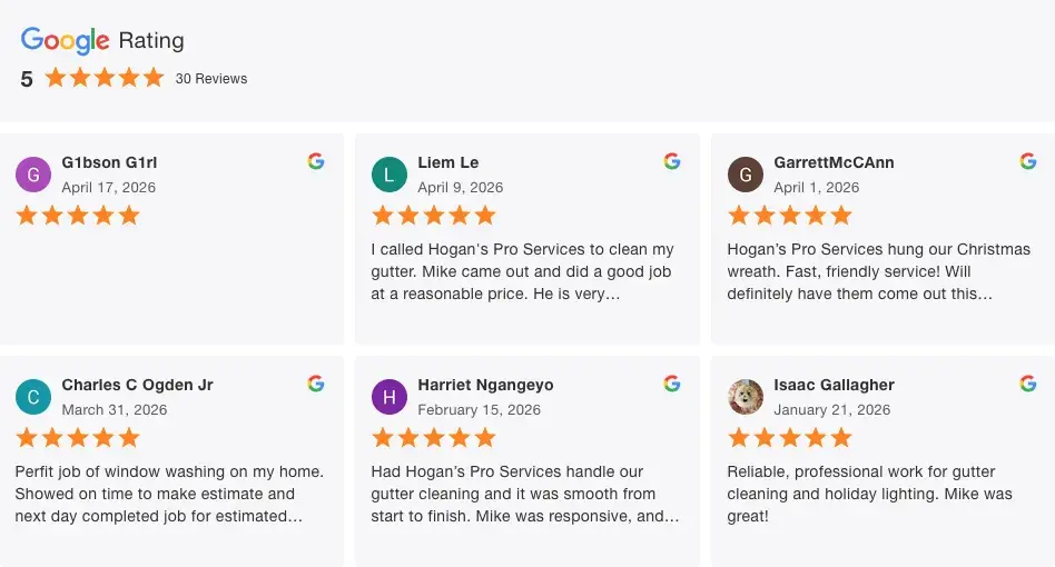 Hogan's Pro Services 5-star Google customer reviews for window washing and gutter cleaning in Plano, Texas.