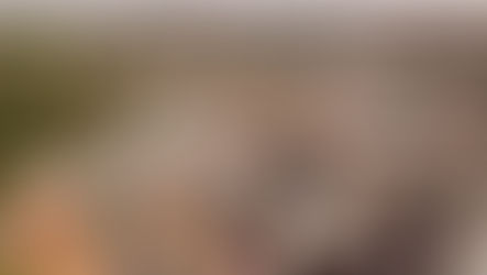 Jaguariúna mantém nota C+ em Índice de Efetividade de Gestão Municipal; sobe Gestão Fiscal e cai Saúde