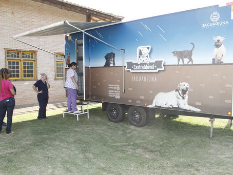Castra móvel inicia serviço de cirurgias eletivas em animais de Jaguariúna