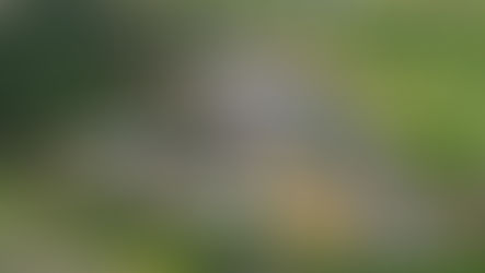 Vestibular: UniFAJ está com inscrição abertas para mais de 20 cursos de graduação