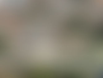 Memória: Quando o aroma da goiabada marcou Jaguariúna